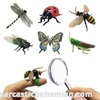 JollySweets Pretend Insect Bug Figures Toys Set Finger Ring Bug Magnifying Glass Dragonfly Butterfly Grasshopper Bee Ladybird Cicada Realistic Pretend Play Toys 6 Pcs B07NW21XQF